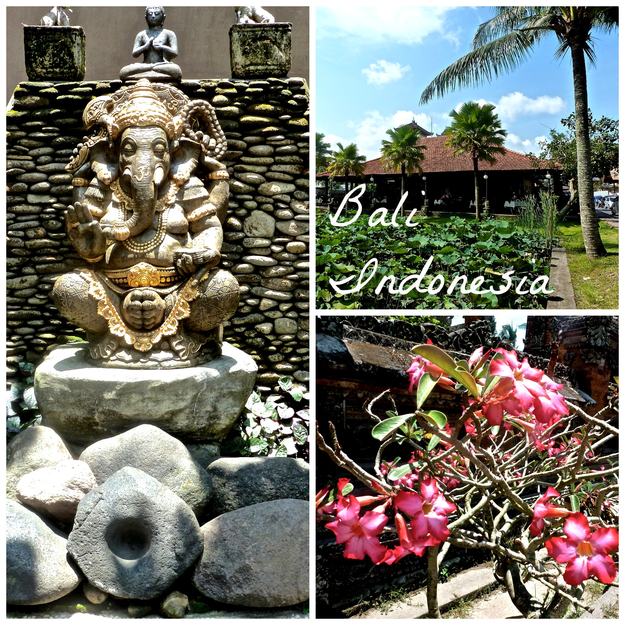 Top Travel Destinations: Bali, Indonesia