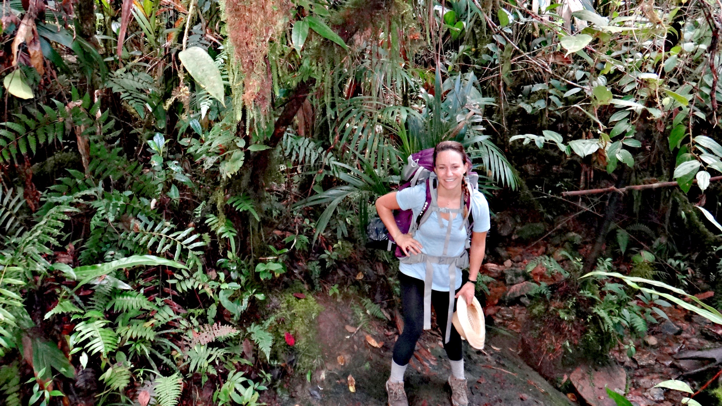 Hiking through the jungle of Mount Roraima