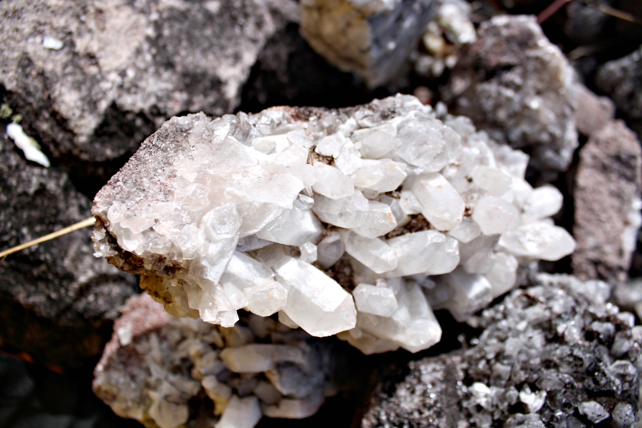 Quartz crystals on Mount Roraima